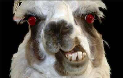 Zombie llama